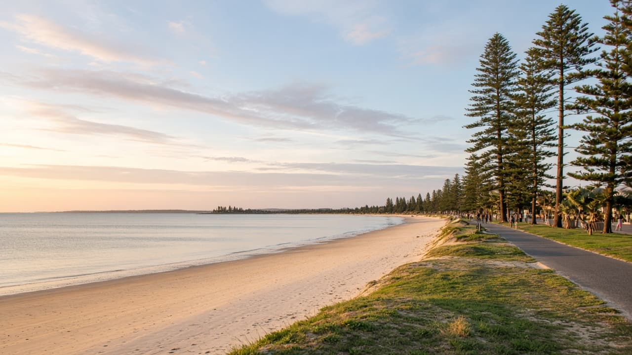 Hervey Bay esplanade beach with Norfolk pines and calm late-afternoon water.